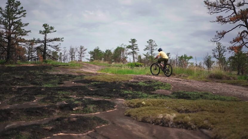 A Person Driving a Mountain Bike Over Rough Terrain. Why Are Mountain Bikes More Expensive Than Dirt Bikes?