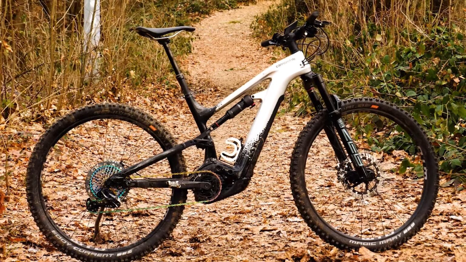 Cannondale vs Trek Who Wins The Race String Bike