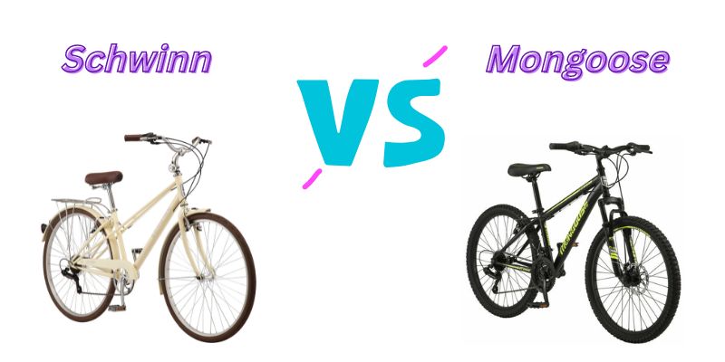 road racing cycle