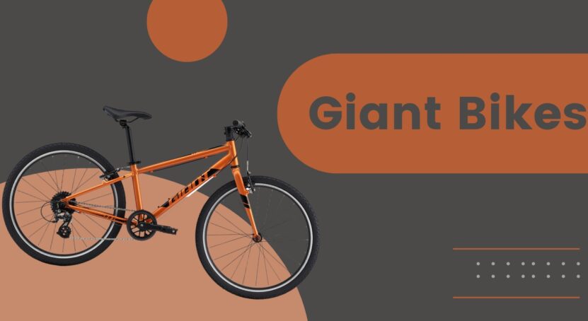 Giant Bikes