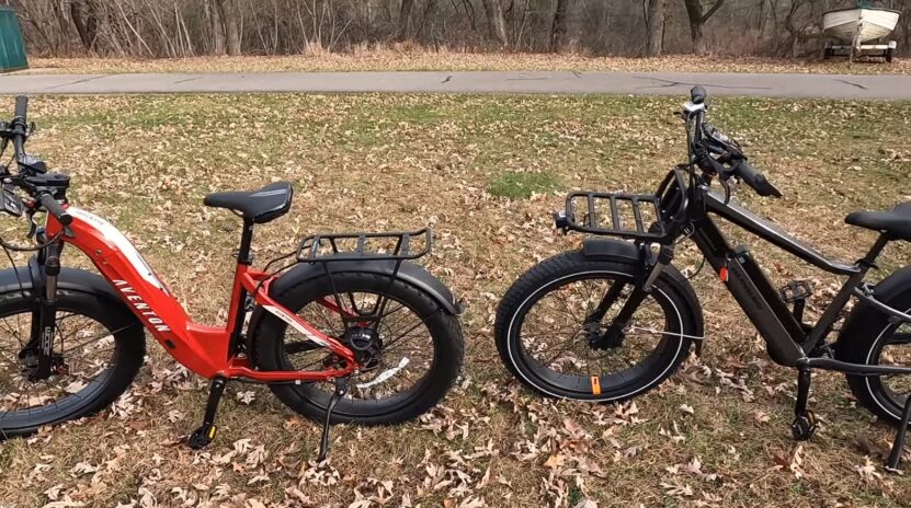 Pedego vs Rad Ebikes