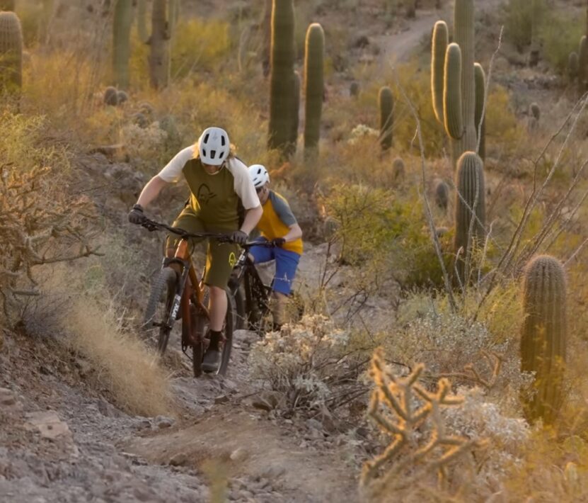 Jamis vs Giant Bikes (3 Key Differences) String Bike