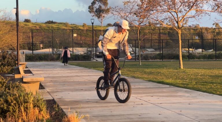Are BMX Bikes Good For Cruising (3 Reasons)