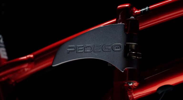 Are Pedego Bikes Worth The Money