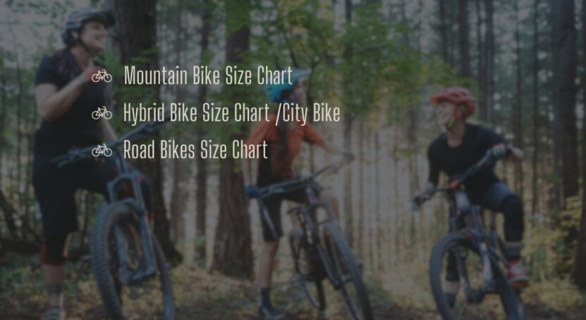 Bike Size Chart According To Bikes Type