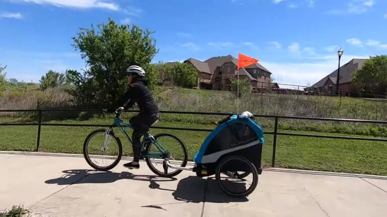Bike Trailer Vs Bike Seat
