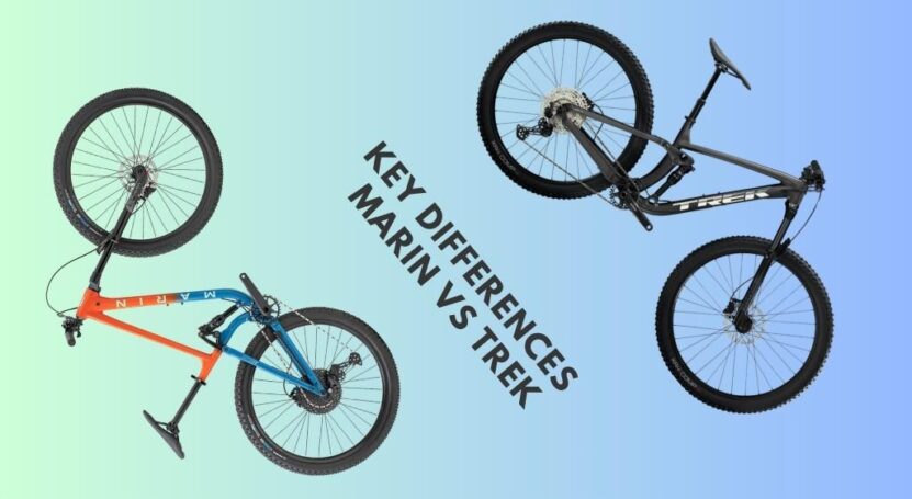 Here's a Breakdown of Some of The Key Differences Between Marin and Trek - marin vs trek 