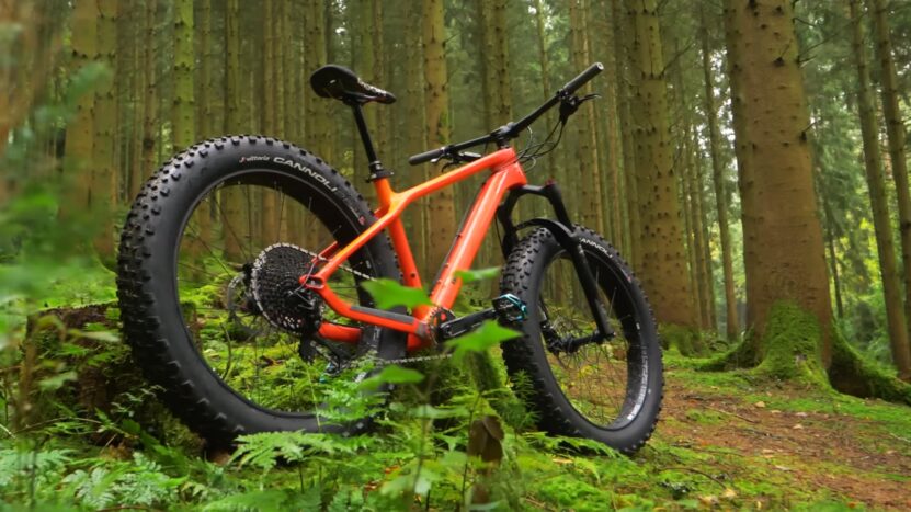 Side View of a Fat Bike
