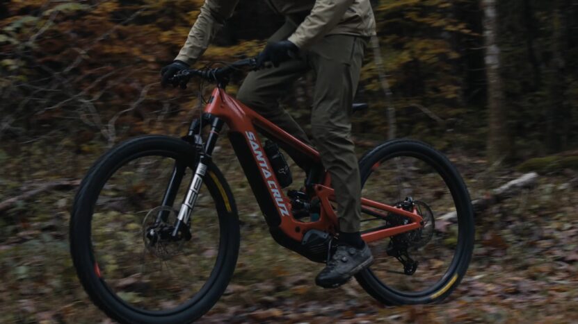 The Santa Cruz Heckler