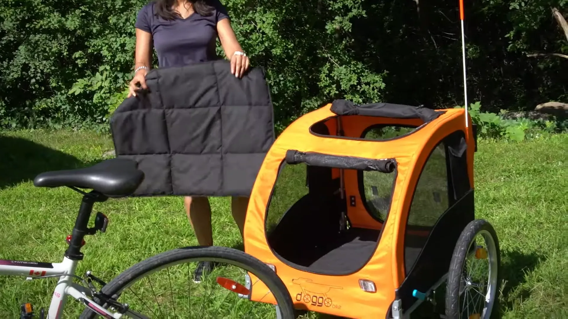 Bike Trailers For Dogs cleaning