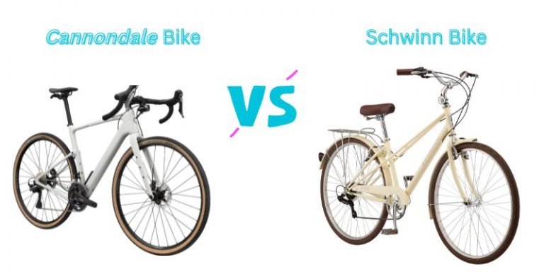 Cannondale vs Schwinn