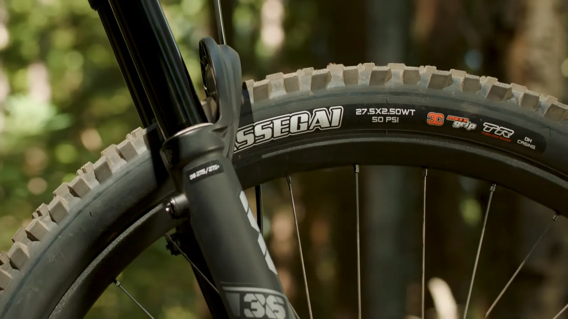 Giant Bicycles Trance tires