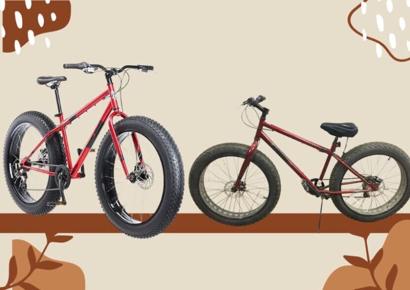Mongoose Hitch vs Malus Bikes How To Choose