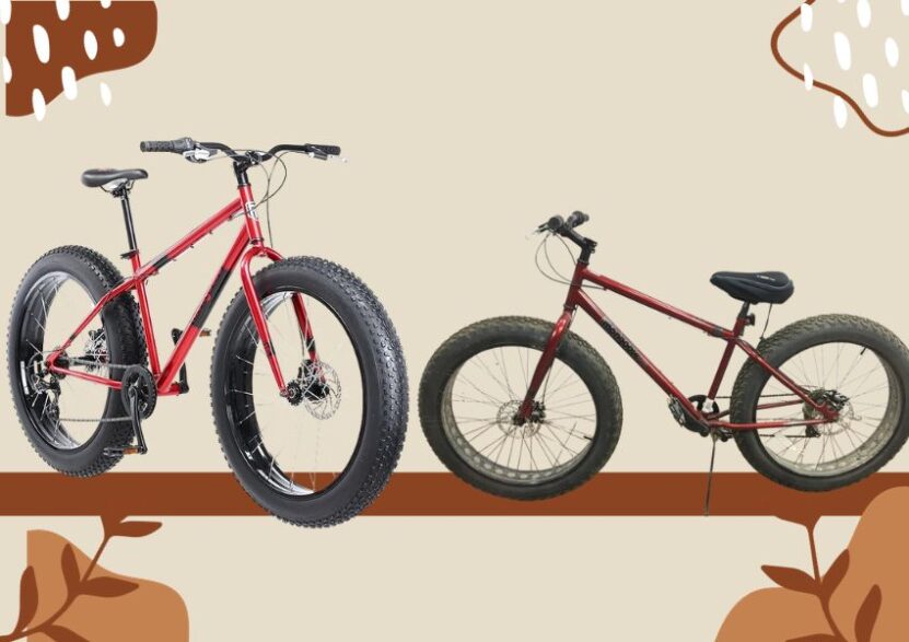 Mongoose Hitch vs Malus Bikes How To Choose