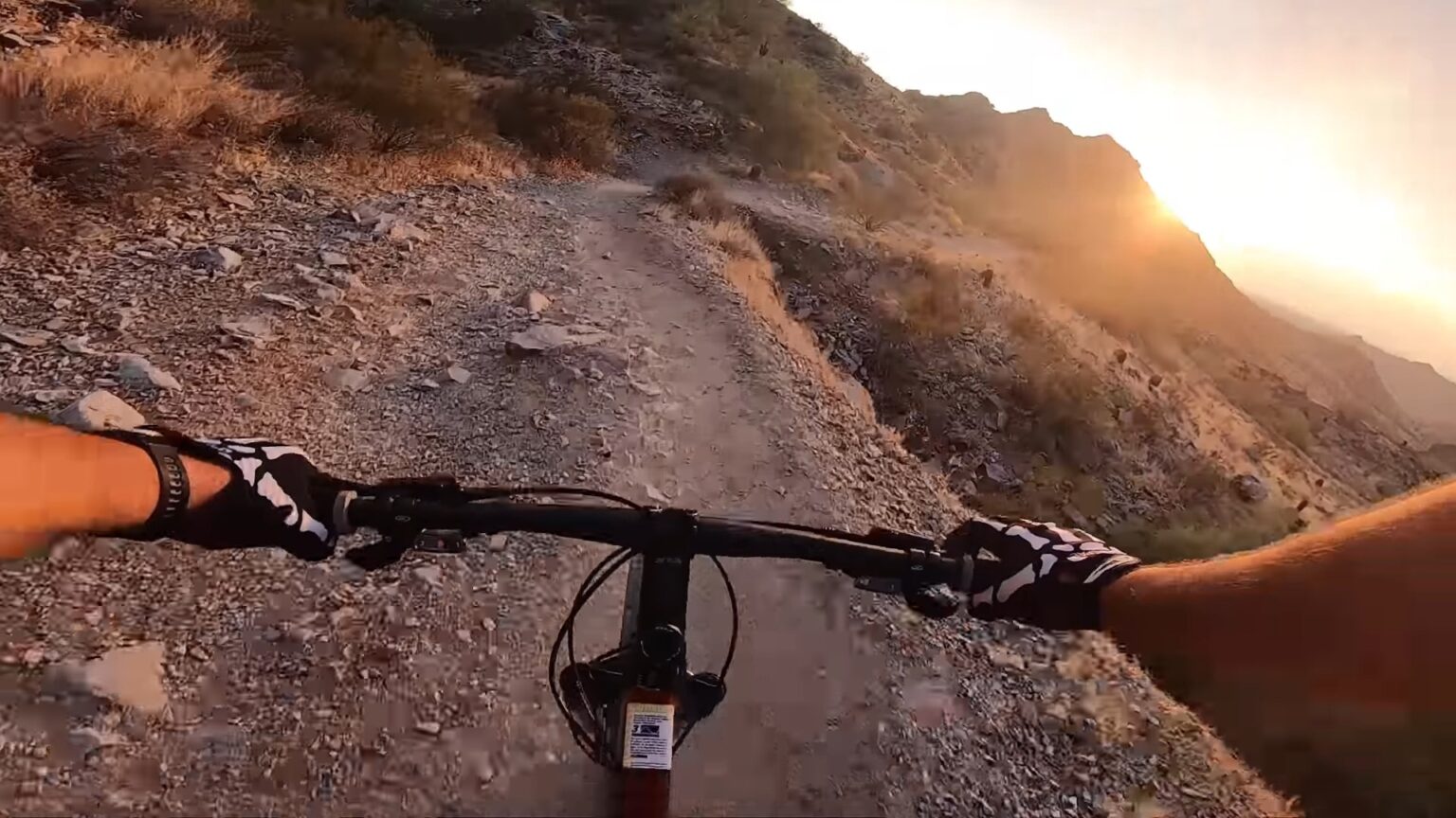 Top 22 Best Bikes For Fat Person 2023 Smooth Biking for the Overweight