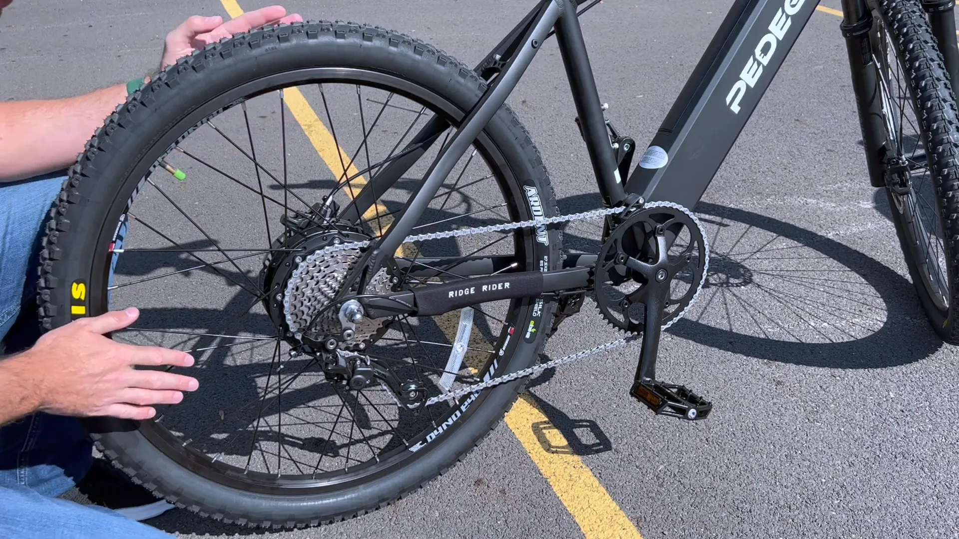 Pedego bike tires