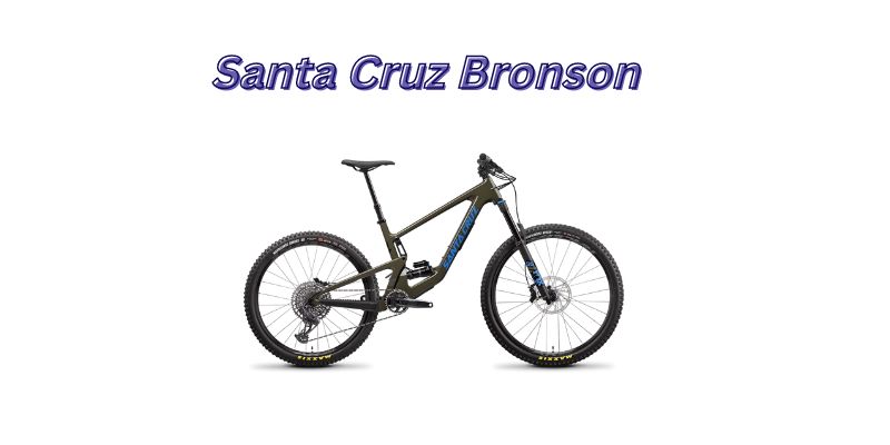Santa Cruz Bronson