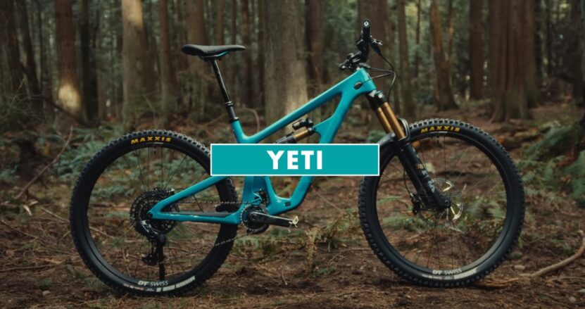 Yeti vs Specialized Bikes Frame