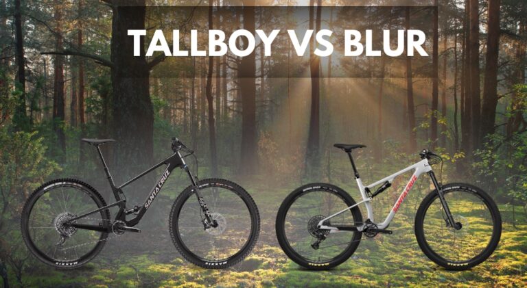 Tallboy vs Blur (7 Helpful Differences)