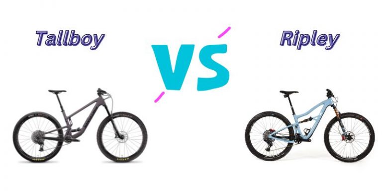 Tallboy vs Ripley