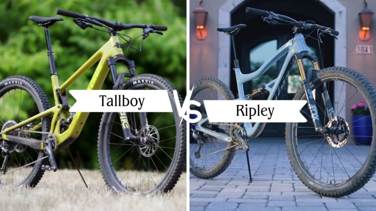 Tallboy vs Ripley (7 Helpful Differences)