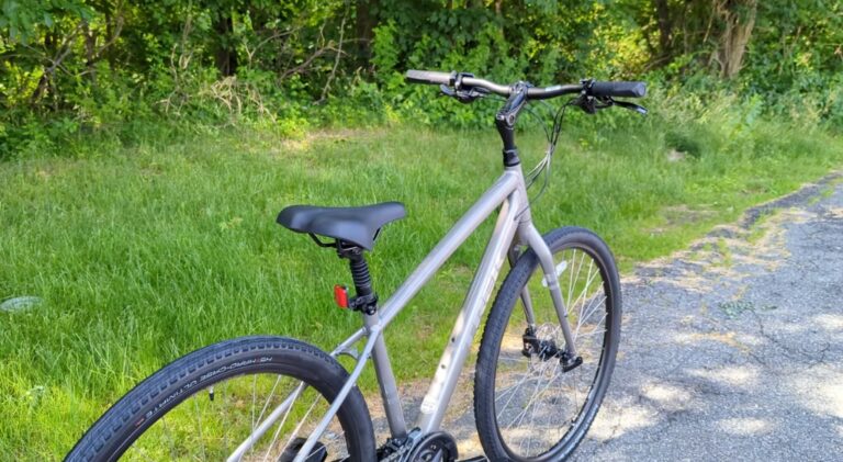 Trek Verve vs Dual Sport (7 Key Differences) (1)