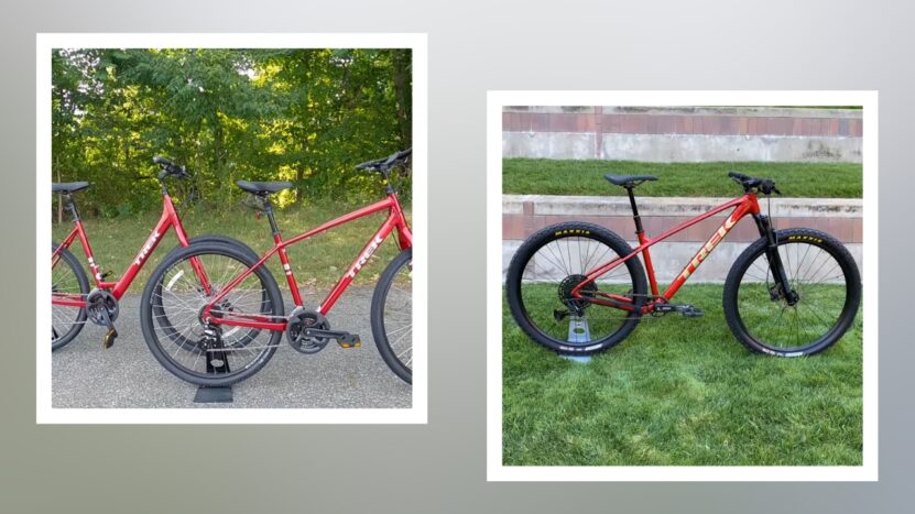 Trek Verve vs Marlin