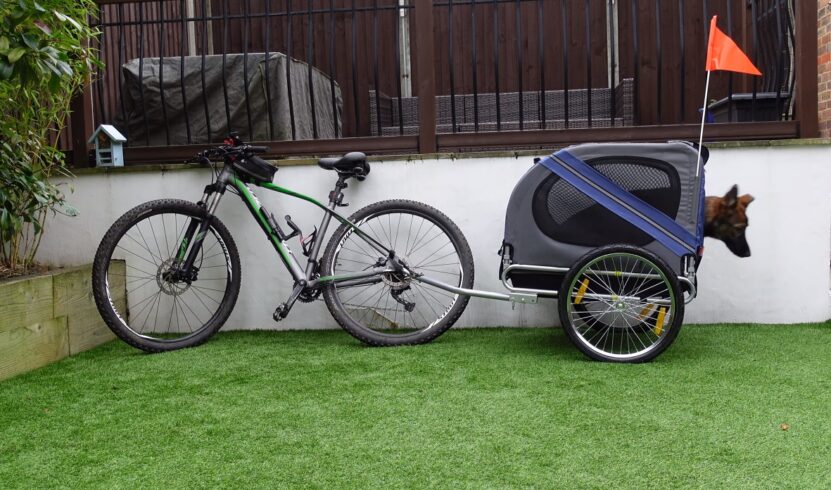 Folding Bike Trailer For Dogs