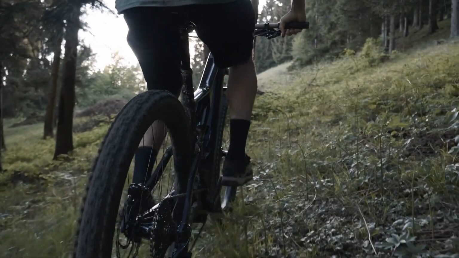 Cruiser vs Comfort vs Hybrid Bike (Difference Explained) The Great Debate