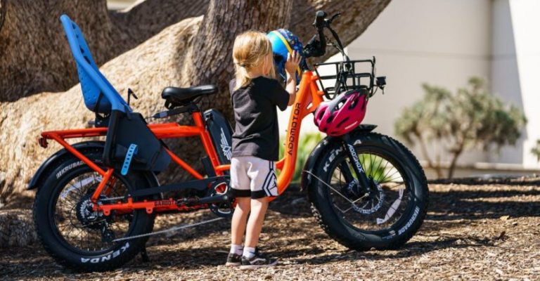 Addmotor M-81 a Unique electric Cargo Bike