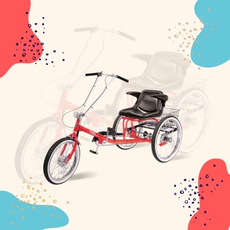 Worksman Personal Activity Vehicle bike for overweigh woman