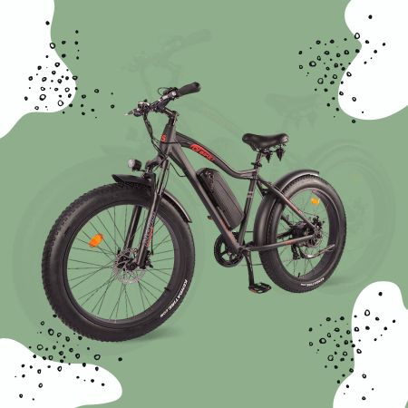 DJ Fat Bike 750W 48V 13Ah Power Electric Bicycle