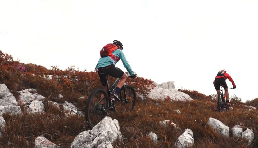 Mountain Bike vs Road Bike Speed 2 Detailed Answers