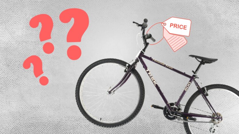 Trek 800 mountain price