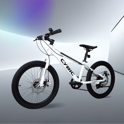 CYBIC Mountain Bike