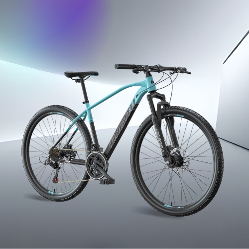 Eurobike 29-inch Mountain Bike