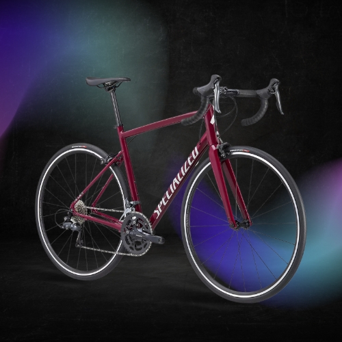 Trek vs Specialized Bikes 8 Key Differences Explained