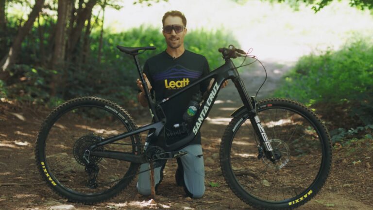 Santa Cruz Bronson